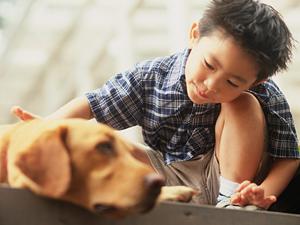 茨城県東海村の個別指導学院ナビ個別指導学院東海校の特色と魅力